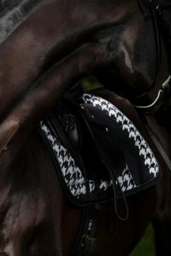 Eskadron Essence 22/23 Big Square Glossy Dressurschabracke -Reitsportbedarf Verkäufe 2024 342542 BL WH LOGR 5