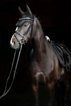 Eskadron Essence 22/23 Glitter Mesh Sport Fliegenhaube -Reitsportbedarf Verkäufe 2024 342557 DOGR 2