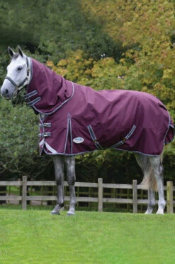 Weatherbeeta Comfitec Plus Dynamic II Detach-a-Neck Weidedecke Mit Abnehmbarem Halsteil, 360g 7 Weatherbeeta Comfitec Plus Dynamic II Detach-a-Neck Weidedecke Mit Abnehmbarem Halsteil, 360g -Reitsportbedarf Verkäufe 2024 343119 DRE G 3