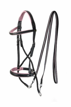 F.R.A. Dietsji Gebissloser Zaum (System 5)