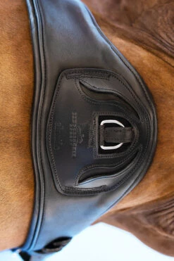 Schockemöhle Pittsburgh Stretch Kurzgurt -Reitsportbedarf Verkäufe 2024 343554 BL SI 3