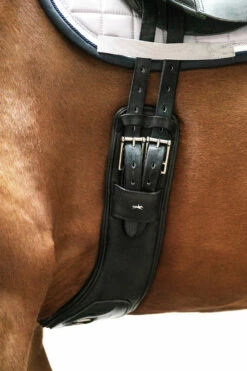 Schockemöhle Pittsburgh Stretch Kurzgurt -Reitsportbedarf Verkäufe 2024 343554 BL SI 4