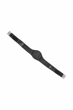 Schockemöhle Portland Langgurt -Reitsportbedarf Verkäufe 2024 343555 BL SI 1