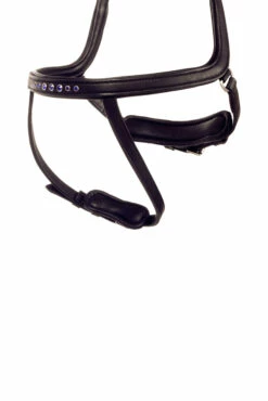 Kavalkade Kóngablár Ivy Reithalfter Für Aradis Islandtrense