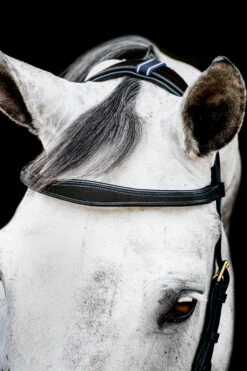 Horseware Rambo Micklem 2 Multi Trense -Reitsportbedarf Verkäufe 2024 345014 BL 03