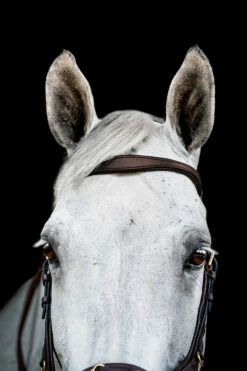 Horseware Rambo Micklem 2 Multi Trense -Reitsportbedarf Verkäufe 2024 345014 DBR 02