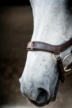 Horseware Rambo Micklem 2 Multi Trense -Reitsportbedarf Verkäufe 2024 345014 DBR 04