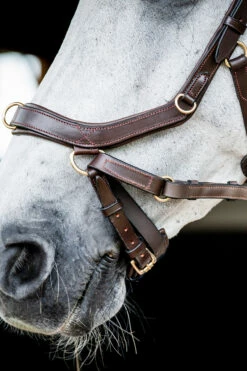 Horseware Rambo Micklem 2 Multi Trense -Reitsportbedarf Verkäufe 2024 345014 DBR 05