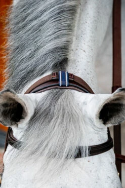 Horseware Rambo Micklem 2 Multi Trense -Reitsportbedarf Verkäufe 2024 345014 DBR 06