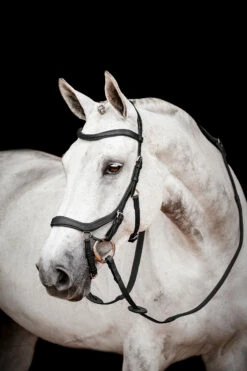 Horseware Rambo Micklem 2 Diamante Competition Trense Mit Zügeln