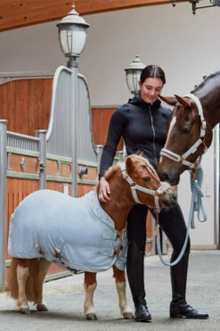 Eskadron Platinum 2023 Velvet Crystal Shetland Abschwitzdecke -Reitsportbedarf Verkäufe 2024 345484 PLB 02