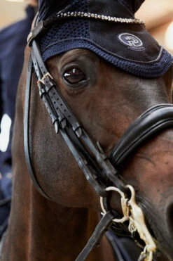 Eskadron Platinum Pure FS23 Glitter Mesh Fliegenhaube -Reitsportbedarf Verkäufe 2024 345512 DB 03