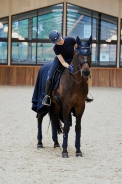 Eskadron Platinum Pure FS23 Glitter Mesh Fliegenhaube -Reitsportbedarf Verkäufe 2024 345512 DB 04