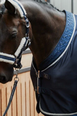 Eskadron Platinum Pure FS23 Dura Crystal Transportdecke -Reitsportbedarf Verkäufe 2024 345520 DB 03