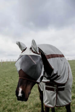 Kentucky Horsewear Classic Fliegenmaske Mit Ohren -Reitsportbedarf Verkäufe 2024 6FN7A 950 08