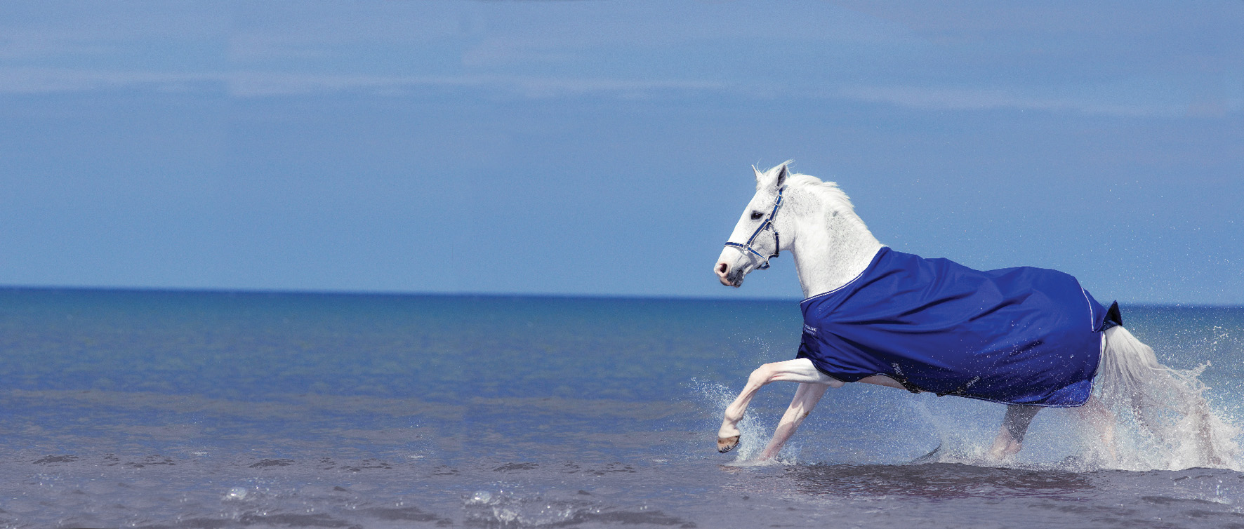 Reitsportbedarf Verkäufe 2024 -Reitsportbedarf Verkäufe 2024 892656 10151329767448144 409594055 o