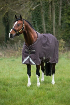 Horseware Amigo Bravo 12 Winterdecke, 250g -Reitsportbedarf Verkäufe 2024 922496 BR OWH 1