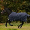 Horseware Amigo Bravo 12 Winterdecke, 250g -Reitsportbedarf Verkäufe 2024 922496 DB B BL 1