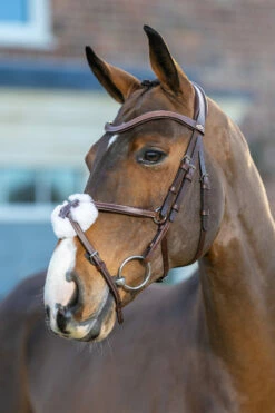 LeMieux Arika Mexikanische Trense -Reitsportbedarf Verkäufe 2024 9TCGH 780 04