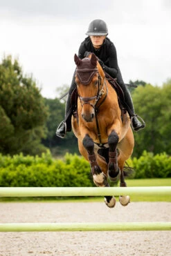 LeMieux Crystal Fliegenhaube -Reitsportbedarf Verkäufe 2024 Z1KR0 780 03